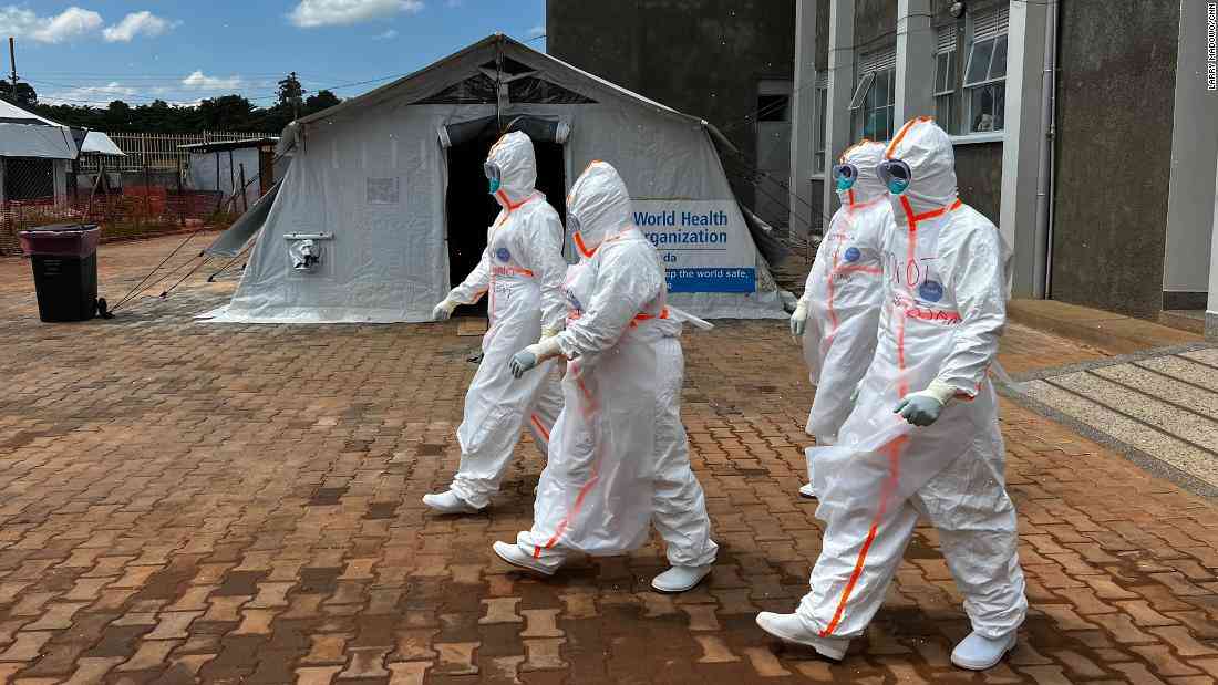 The Fear of Mutating Ebola