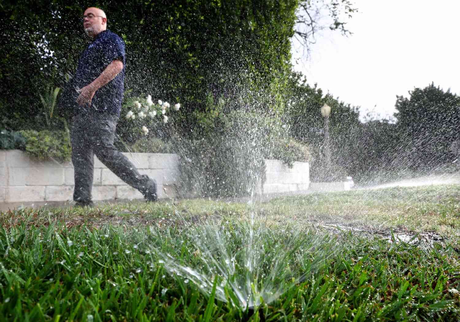 LADWP is giving residents free cash when they tear out their lawns
